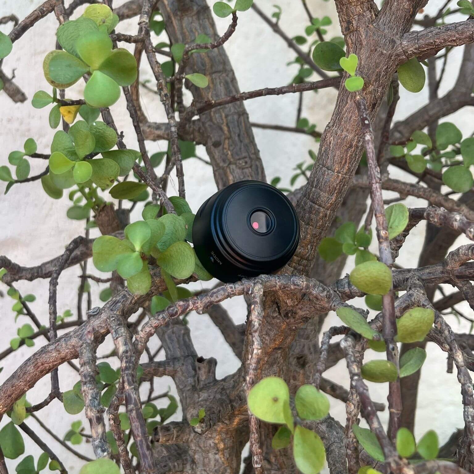 Mini Camara Wifi Nomadcam